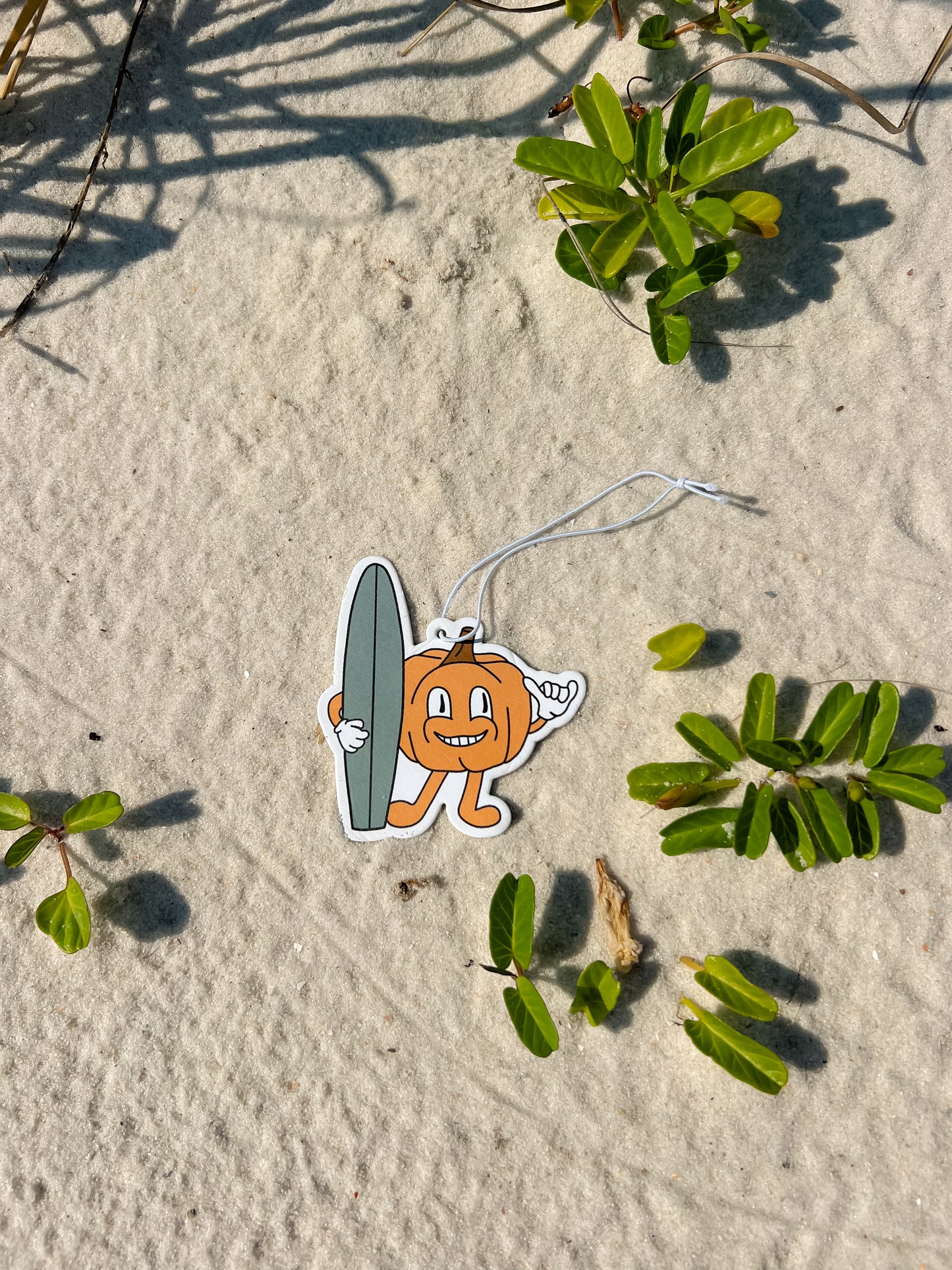 Pumpkin Surfer Scented Car Charm