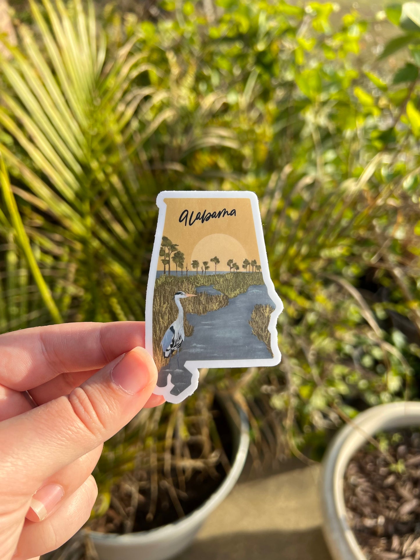 Coastal Alabama Sticker | 3 x 3 in