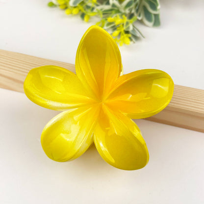 Colorful Plumeria Hair Clip