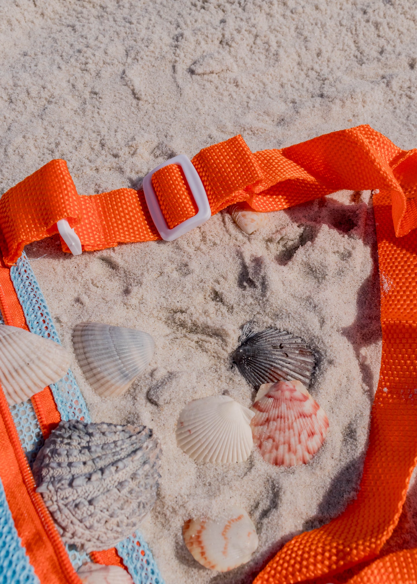 Mesh Shell Beach Bag