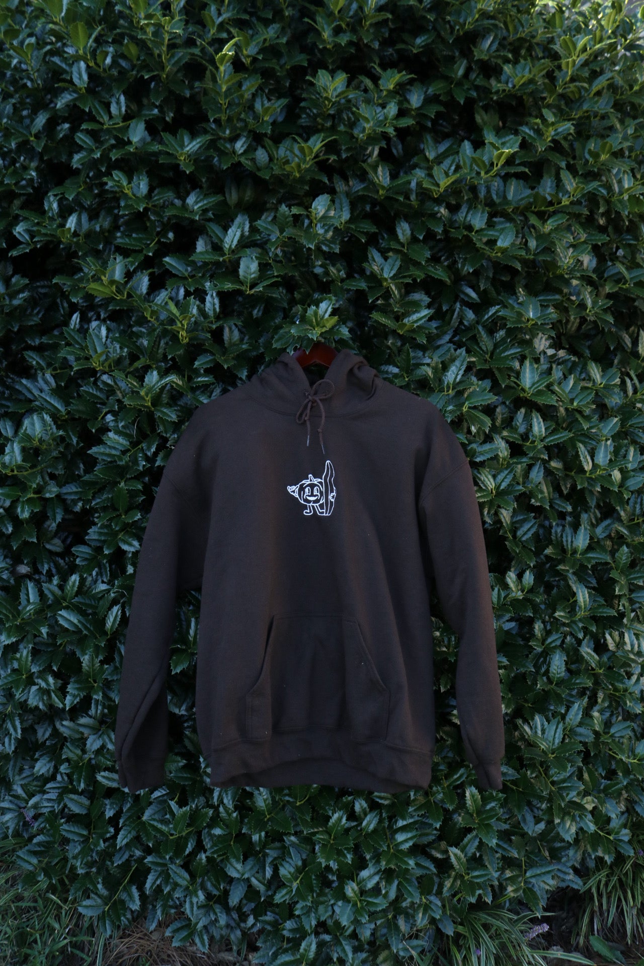 Pumpkin Surfer Embroidered Hoodie | Dark Brown Unisex Hoodie With String